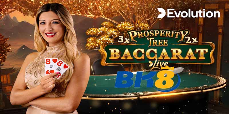 Các loại hình trò chơi tại casino BK8